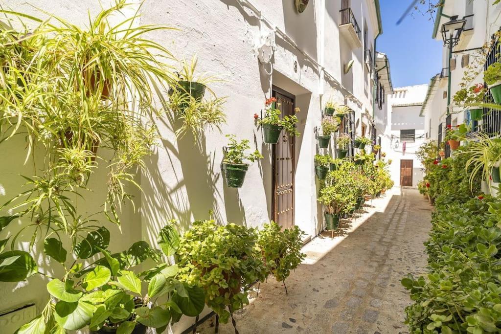 Casa Con Patio Y Terraza En Barrio Historico De La Villa, Junto Al Adarve Priego De Cordoba Bagian luar foto