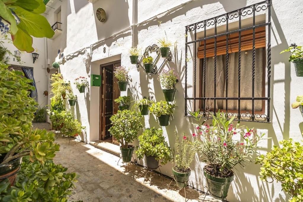 Casa Con Patio Y Terraza En Barrio Historico De La Villa, Junto Al Adarve Priego De Cordoba Bagian luar foto